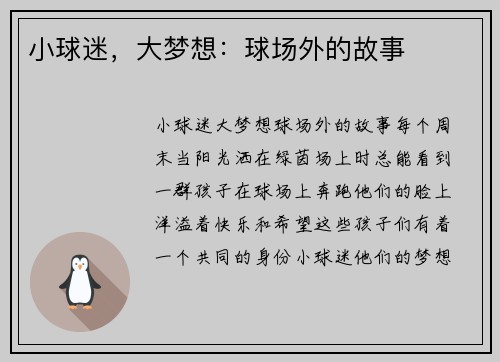 小球迷，大梦想：球场外的故事